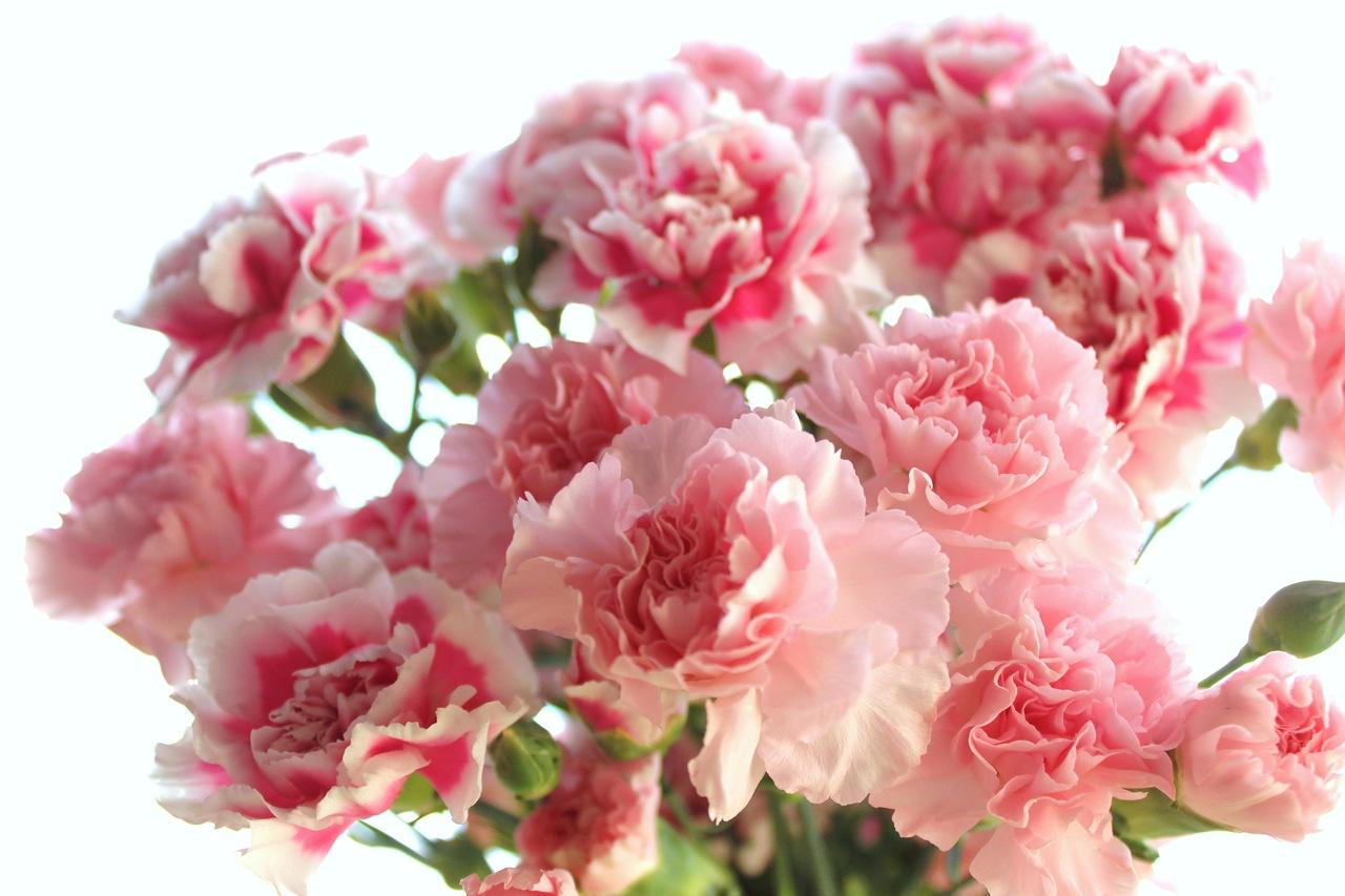 晗小姐花艺设计策划中心